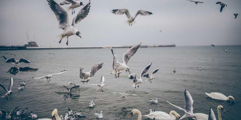 《夜幕年少 第1季》